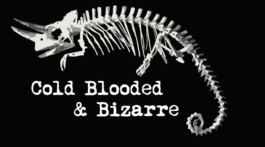 Cold Blooded & Bizarre